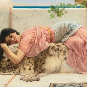 Meet your Posher, Fawn